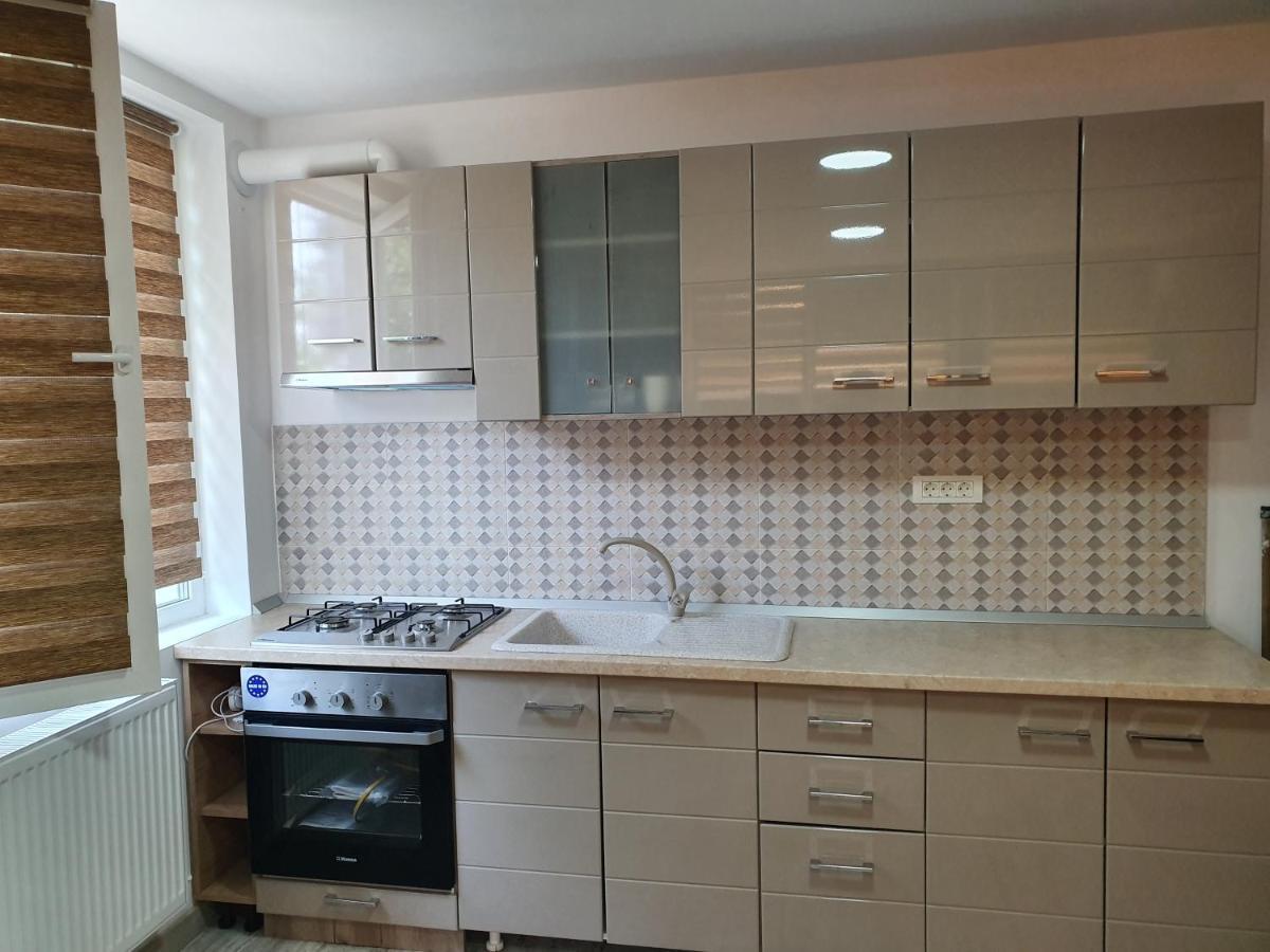 Apartament Negris Bîrlad Buitenkant foto